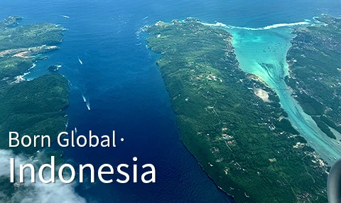 Opportunities in the Indonesian Electric Charging Market