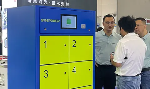 Battery Replacement Programs, Opportunity or Pitfall?